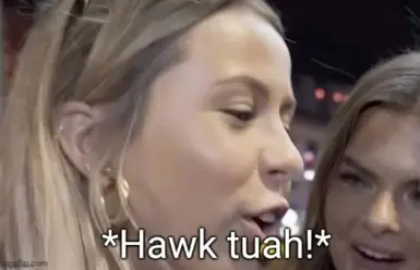鹰图阿模组