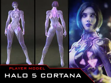 玩家模型 - 《光环5》Cortana