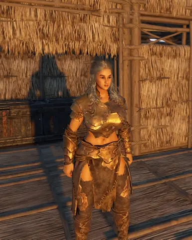 埃布尔·布朗兹盔甲