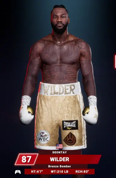 迪昂泰·怀尔德 x 柯夫格斗装备