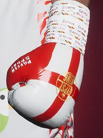 泰森·弗瑞球衣对阵迪利安·怀特