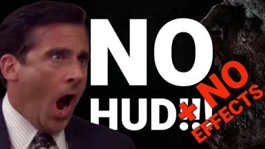 无HUD-无效果