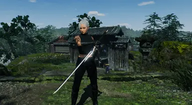 秘密特工编辑版V1（F）