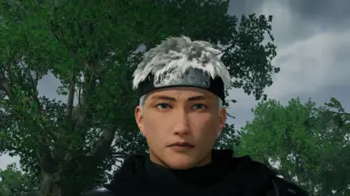 勇士头带重贴图套装