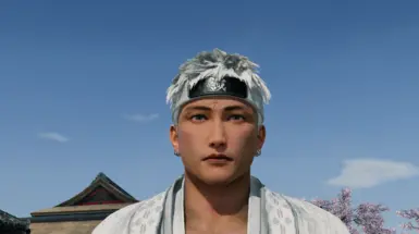 新选组士兵头带重贴图（多色）