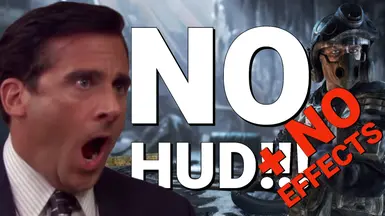 无HUD-无效果