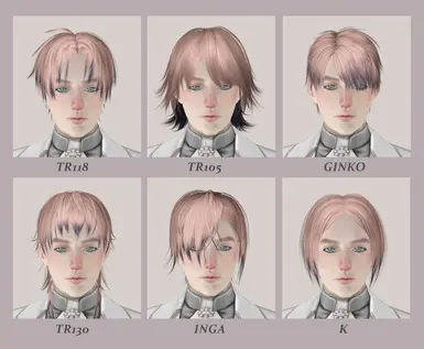 TSM Haneco 发型套装