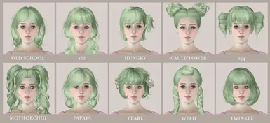 Newsea F Hairs 套装 第二部分