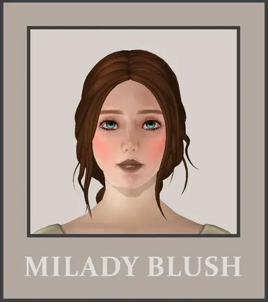 TSM米莱迪·布拉什