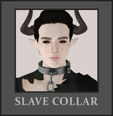 TSM奴隶项圈