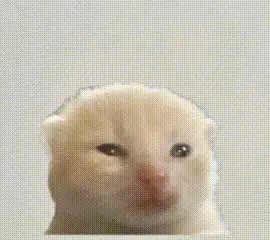 所有弹药堆栈9999