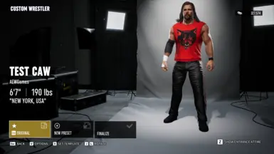 凯文·纳什 NWO Wolfpac（ALCLegacy）
