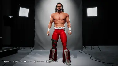 狂野狂人兰迪·萨维奇 NWO Wolfpac（ALCLegacy）