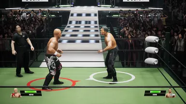 NOAH裁判 西永秀一（WK360）