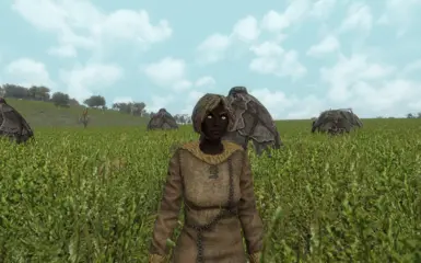 金属时代前的黑人