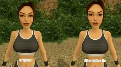 TR1 道馆替代修复