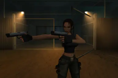 AoD双手枪弹药无限