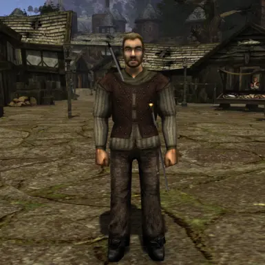 外观不错的皮革盔甲（Waldlaufer）替换件