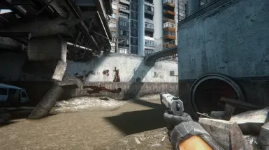 真实光明：半条命2