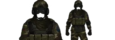 SAPP 侦察夜视仪