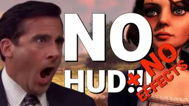 无HUD-无效果