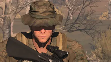 Zee身份包，由Zeealex制作