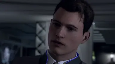 所有康纳线 由安德森中尉取代，我叫康纳。我是赛博生命派来的安卓。