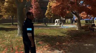 禁用景深补丁器