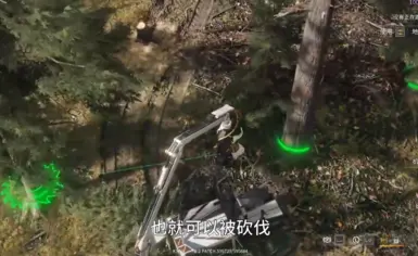 所有树木都可以砍掉