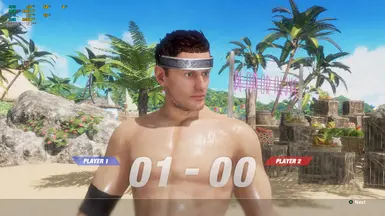 疾风传头部模组