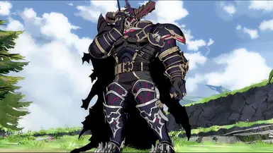 瓦塞拉加服装02斗篷