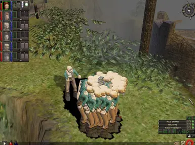 模板代码和训练器