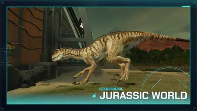 虎印多拉姆龙再版