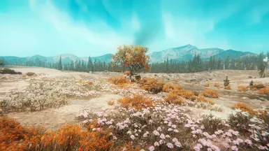 真实色彩：远方呼喊：新曙光