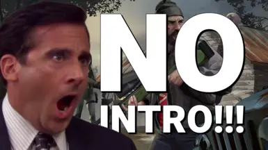 无开场（跳过启动 - Splash 视频）