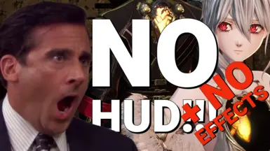 无HUD-无效果