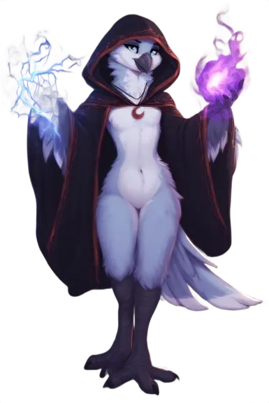 瑞格尔巫师鸟类物种