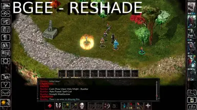 BGEE BG2EE IWDEE - 更明亮更丰富多彩的重着色预设