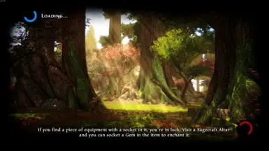 重新计算重阴道包