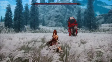 解锁的终极训练典籍