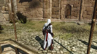 超棒的刺客信条