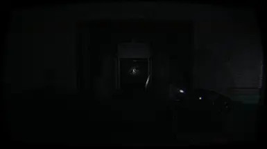 真正的Phasmophobia - Reshade