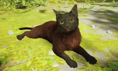 哈迪斯（请求）