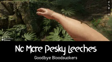 不再有讨厌的水蛭
