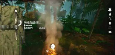 自定义无限火炬