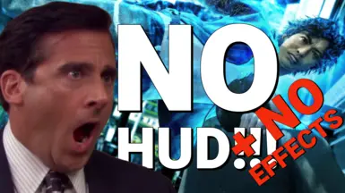 无HUD-无效果