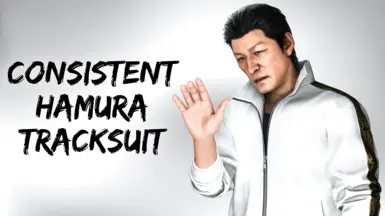 统一的Hamura运动服