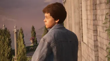 扮演年轻的内森