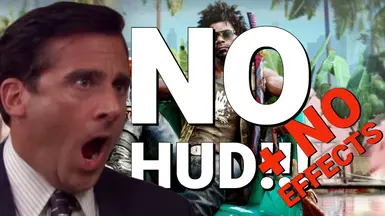 无HUD-无效果