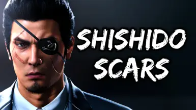 宍戸疤痕化妆品